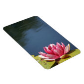 ライリー池の花 マグネット (右側)