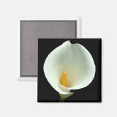 ライリー磁石 マグネット (正面/裏面)