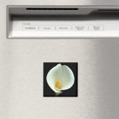 ライリー磁石 マグネット (インサイチュ (食洗機))