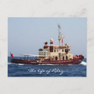 ライリー葉書の生活 ポストカード