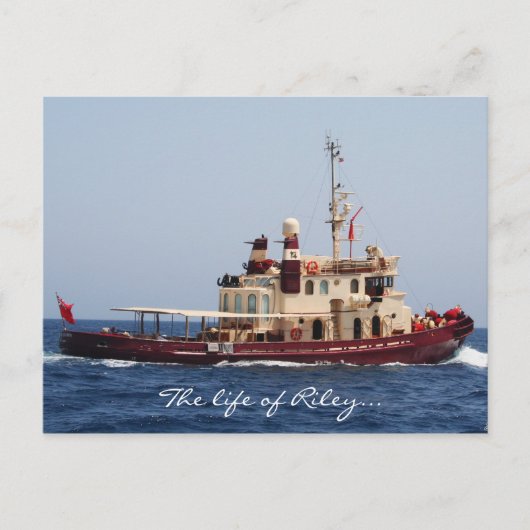 ライリー葉書の生活 ポストカード (正面)