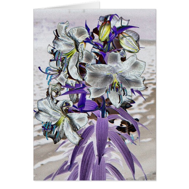 ライリー (正面)