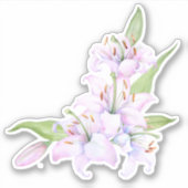 ライリー シール (正面)