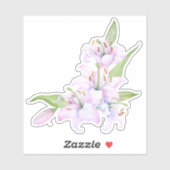 ライリー シール (シート)