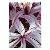 ライリー フォトプリント            (正面)