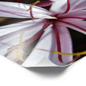 ライリー フォトプリント            (角)