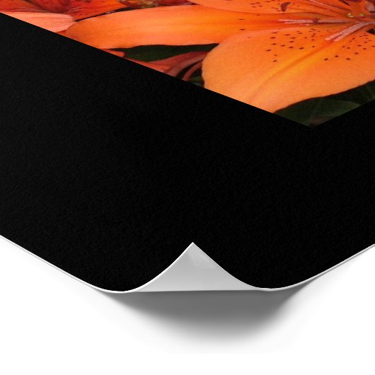 ライリー ポスター (角)