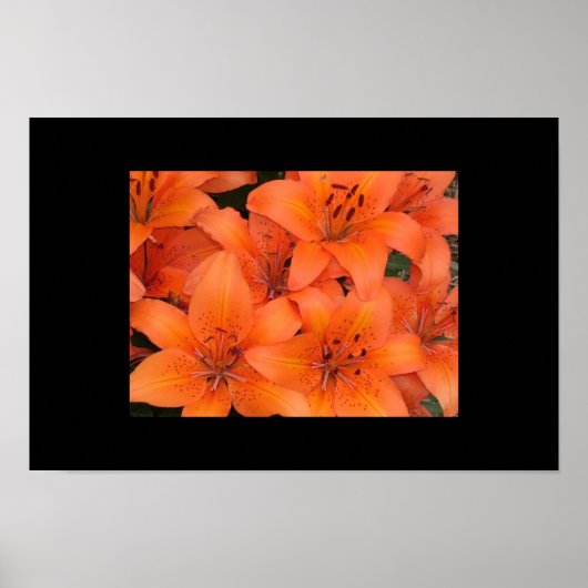 ライリー ポスター (正面)