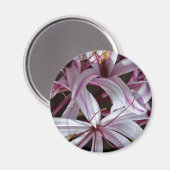 ライリー マグネット (正面/裏面)