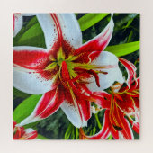 ライリ素晴らしー ジグソーパズル (横)