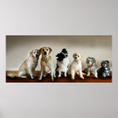 ラインの上 ポスター (正面)