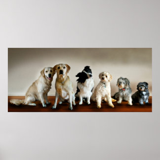 ラインの上 ポスター