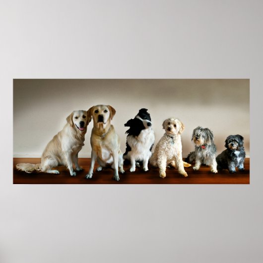 ラインの上 ポスター (正面)