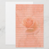 ラインを持つピンクのバラ 便箋 (正面/裏面)