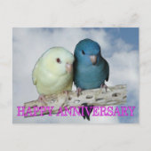 ラインオリエートされたペアのインコ ポストカード (正面)