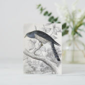 ラインテッドキュッコヴィンテージバードイラストレーション ポストカード (スタンド正面)