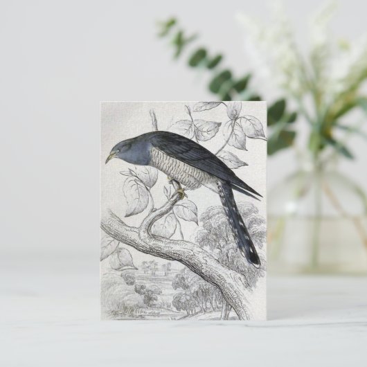 ラインテッドキュッコヴィンテージバードイラストレーション ポストカード (スタンド正面)