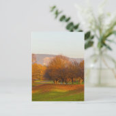 ラインナウパークハガキ ポストカード (スタンド正面)