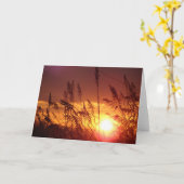 ライ分野のブランクのメッセージカードを通した日没 カード (黄色い花)