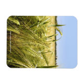 ライ麦 マグネット (横)