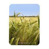 ライ麦 マグネット (縦)