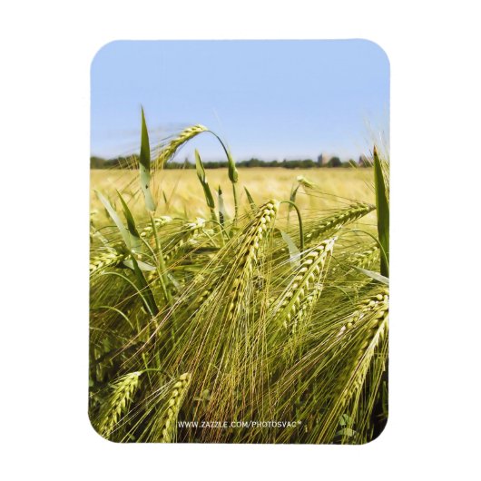 ライ麦 マグネット (縦)