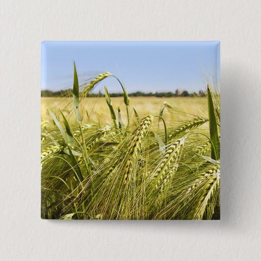 ライ麦 缶バッジ (正面)