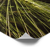 ライ・ポスター ポスター (角)