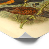 ラウズバーズオブパラダイスヴィンテージカラープリント ポスター (角)