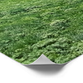 ラウテルブルネン ポスター (角)