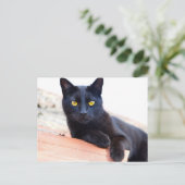 ラウンジのまわりにはがき ポストカード (スタンド正面)