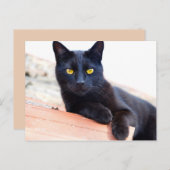 ラウンジのまわりにはがき ポストカード (正面/裏面)