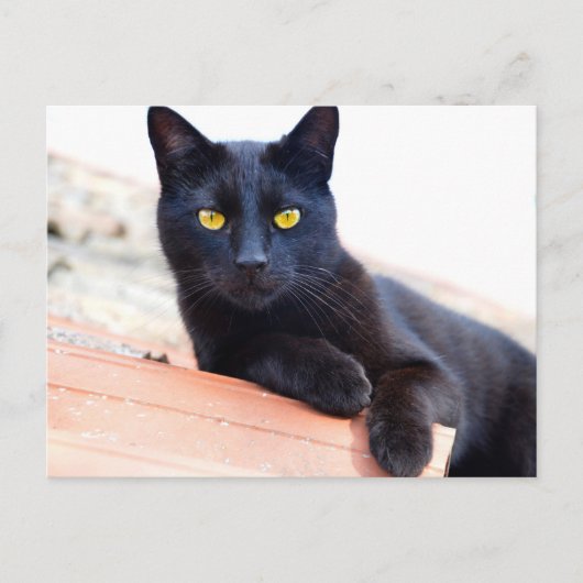 ラウンジのまわりにはがき ポストカード (正面)