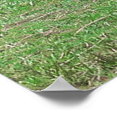 ラウンジカンガルー ポスター (角)