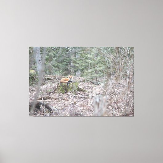 ラウンジキツネ キャンバスプリント (正面)