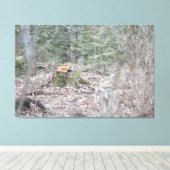 ラウンジキツネ キャンバスプリント (インサイチュ (ウッドフロア))