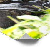 ラウンジ野生の犬のポスター ポスター (角)