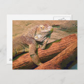 ラウンジ・リザード ポストカード (正面/裏面)