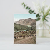 ラウンドアップ（コロラド州、1898年） ポストカード (スタンド正面)