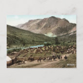 ラウンドアップ（コロラド州、1898年） ポストカード (裏面)