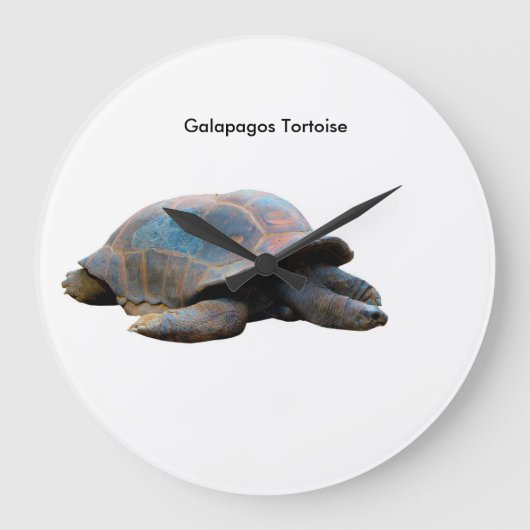 ラウンドウォールクロック用Tortoise画像 ラージ壁時計 (正面)