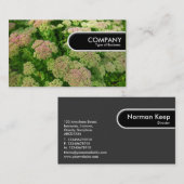 ラウンドエッジラベル – セダム"秋の喜び" 名刺 (正面/裏面)