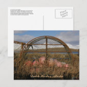 ラウンドキングカニクラブポット、オランダ港、アラスカ ポストカード (正面/裏面)