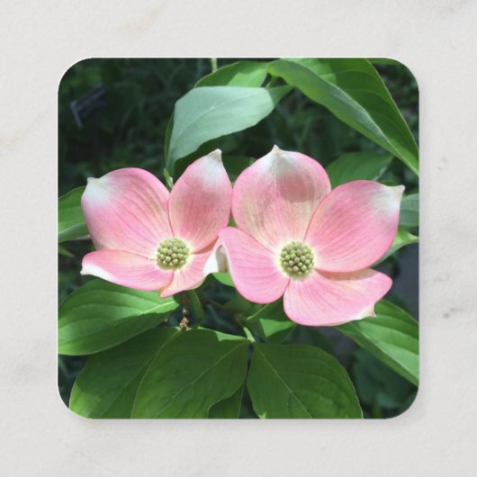 ラウンドコーナー(ロゴと写真モダン) スクエア名刺 (裏面)