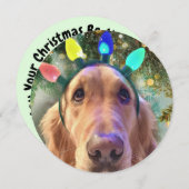 ラウンドゴールデンパーソナライズされたレトリエバークリスマスカード シーズンカード (正面/裏面)