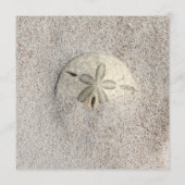 ラウンドサンドドル空白のアドバイスウェディングカード アドバイスカード (裏面)