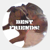 ラウンドシール (正面)