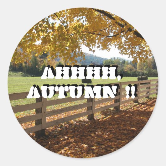 ラウンドシール (正面)