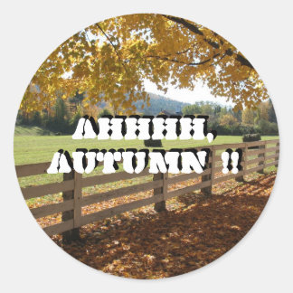 ラウンドシール