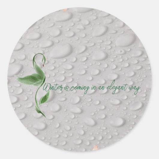 ラウンドシール (正面)